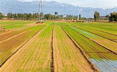 管式土壤墑情監(jiān)測儀對土壤進行快速、準(zhǔn)確、全面地觀測